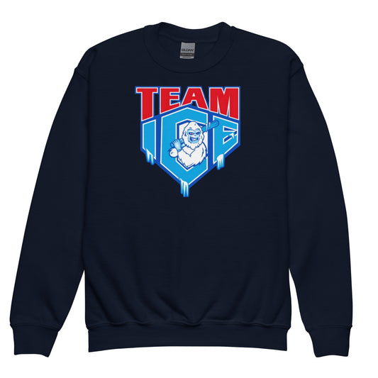 Team ICE Brand Sweatshirt (Youth - Unisex)