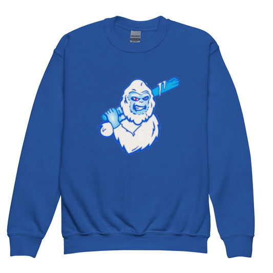 Team ICE Yeti Sweatshirt (Youth - Unisex)